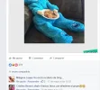 screenshot-www.facebook.com 2016-05-25 20-27-12.webp