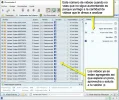CAP_014.webp