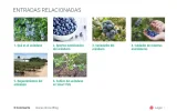 entradas mal.webp
