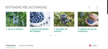 entradas bien.webp