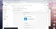 manager moncho curioso.webp
