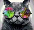 Sin título.webp