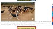 fbvid.webp