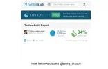 audit.webp