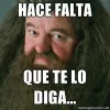 584.webp