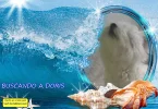 BUSCANDO A DORIS.webp