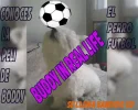 WGH6CyH.webp