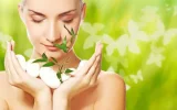 bio.webp