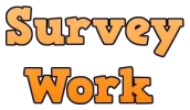 surveywork.webp surveywork.webp
