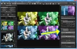 colorworks007.webp