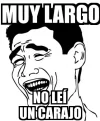 meme.webp