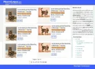 maquetacion guru.webp