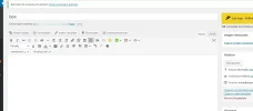 embeber_archivos_desde_box_en_wordpres_014.webp embeber_archivos_desde_box_en_wordpres_014.webp