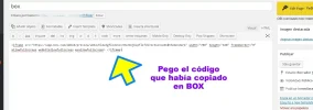 embeber_archivos_desde_box_en_wordpres_016.webp