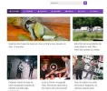 sociallyviral theme 22.webp