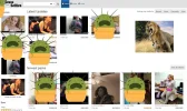Captura.webp