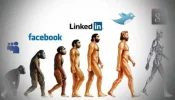 16 - homo.webp