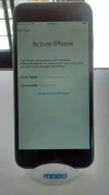 13874549_10206924093408644_442876138_n.webp