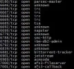 externo.webp