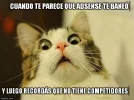 meme-adsense-baneo.webp meme-adsense-baneo.webp