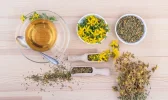 plantas-curativas.webp