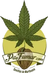 logo circulo.webp