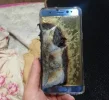 Note-7-explota.webp