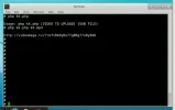 ss.webp
