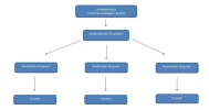 Diagrama.webp Diagrama.webp