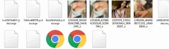 5.webp