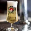 cervezapolar.webp