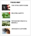 ejemplo2.webp