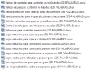 Sin título.webp Sin título.webp