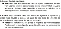 imagen-4.webp