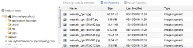 pantallazo-duplicidad.webp