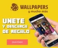 300x250.webp