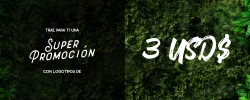 IMAGEN2-min.webp