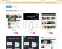 promo-mythemeshop.webp