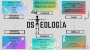 Mapa Mental David Seidel.webp