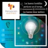 percepcionec.webp