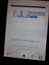movil.webp