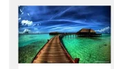 wordpress.webp