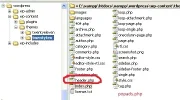 3.webp
