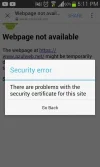 5.webp