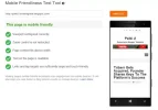 Palki-2-mobile-friendly-test.webp Palki-2-mobile-friendly-test.webp