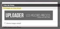 11.webp