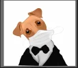Captura2.webp