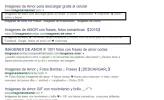 ouo.webp