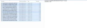 Que significan estos archivos.webp