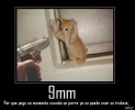 302359_254128974630307_956021955_n.webp